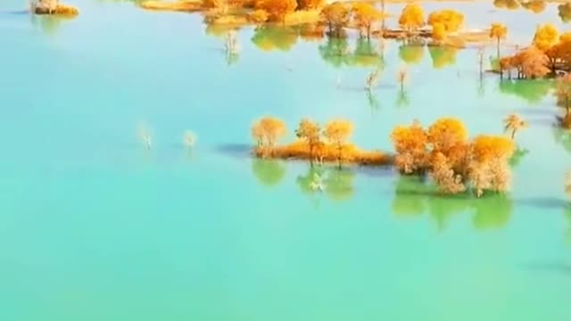 #foryou #beauty #lake #autumn #tree #like #scenery