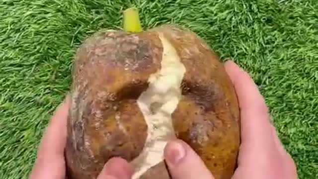 bread fruit