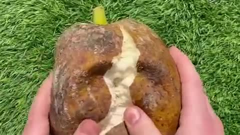 bread fruit