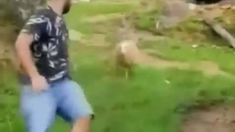 Funny video