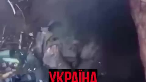 Brutal Stuff