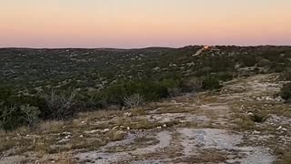 View in Texas