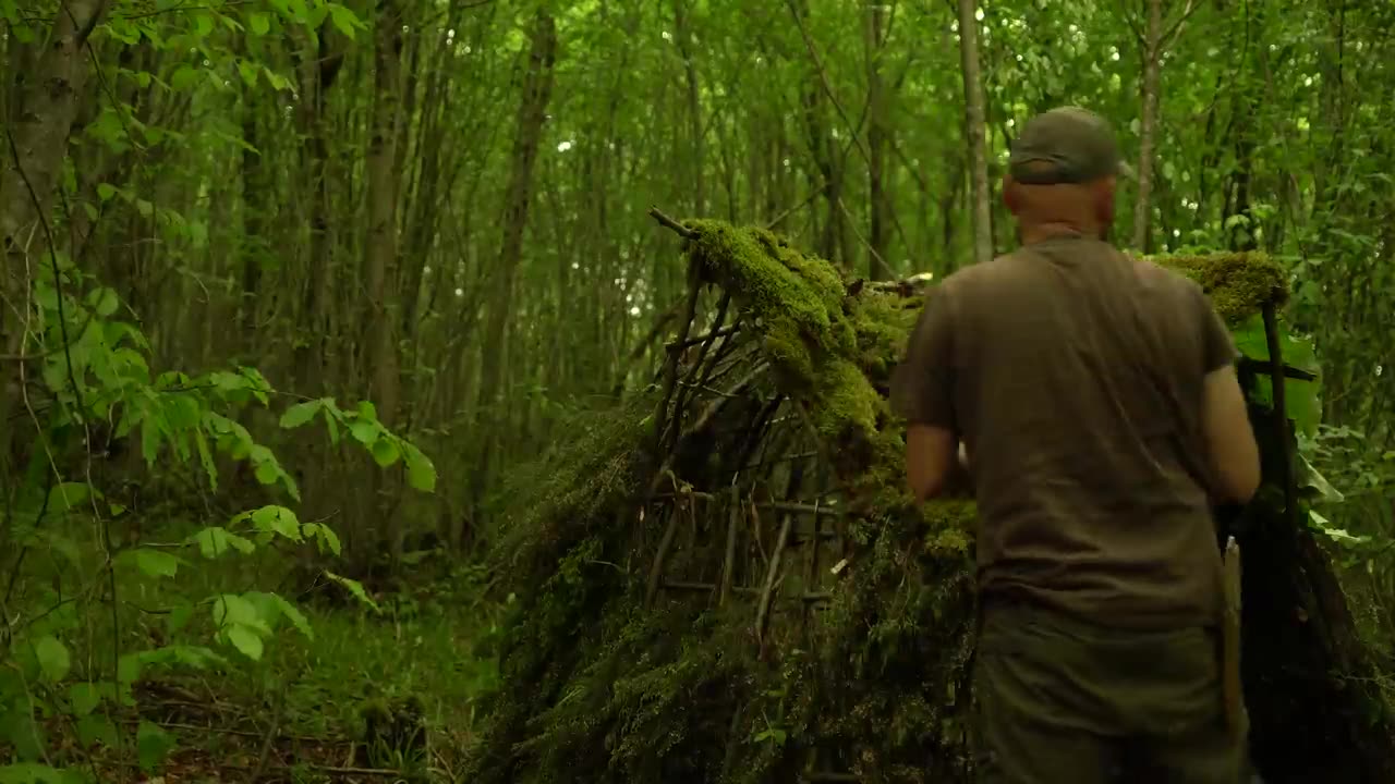 Building a Survival Shelter in a Forest - Camp food from natural herbs