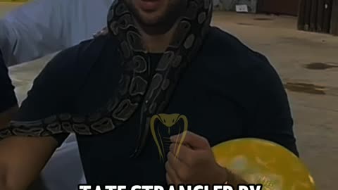 Tate Gets Strangled By Snake