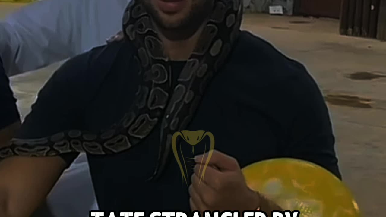 Tate Gets Strangled By Snake