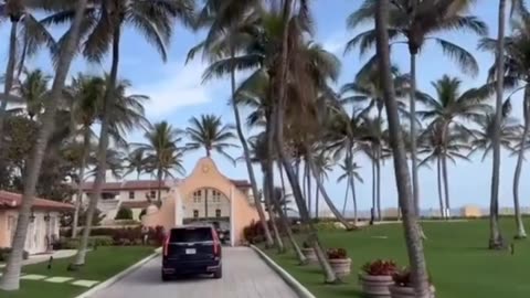 President Donald Trump