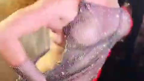 Sexy hot girl belly dance