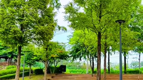 A walk in the park