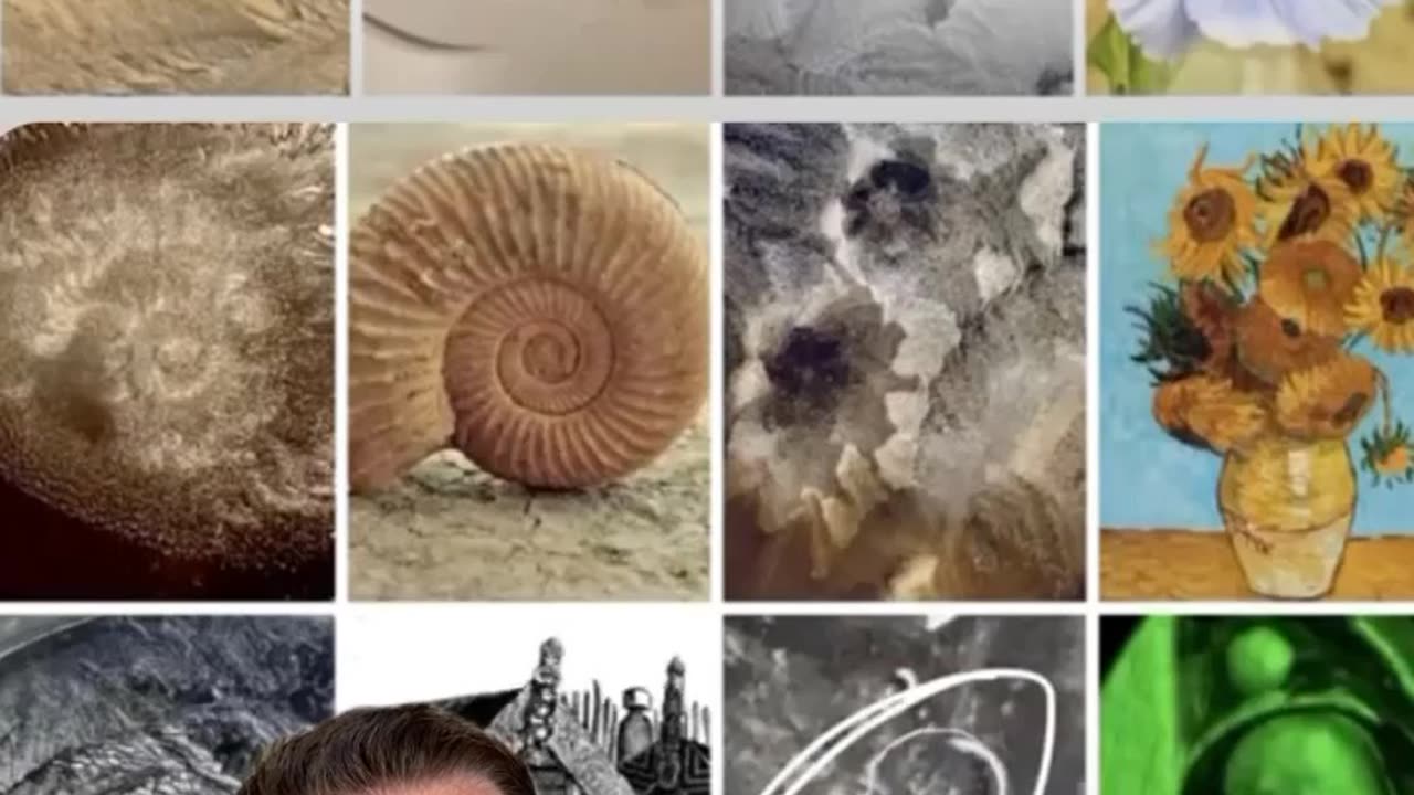 ABSOLUTELY REMARKABLE | WATER AND THE WORK OF VEDA AUSTIN