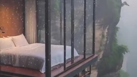 Cool sleeping place