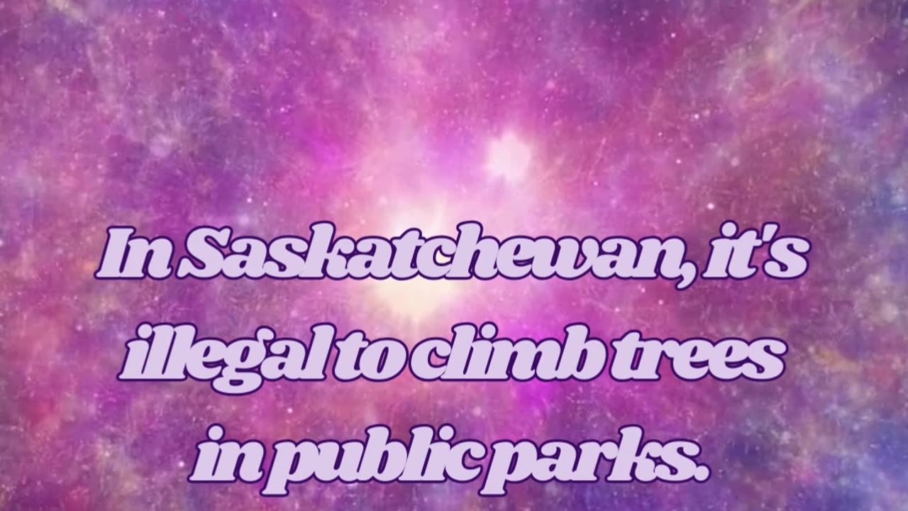 Strange Laws Around the World! 😱 Unbelievable Legal Oddities You Won't Believe Exist.