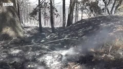 Wildfires breakout in Northern Spain following heatwave - BBC News