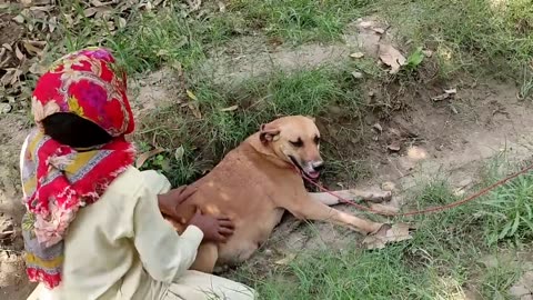 A boy playing with his dog