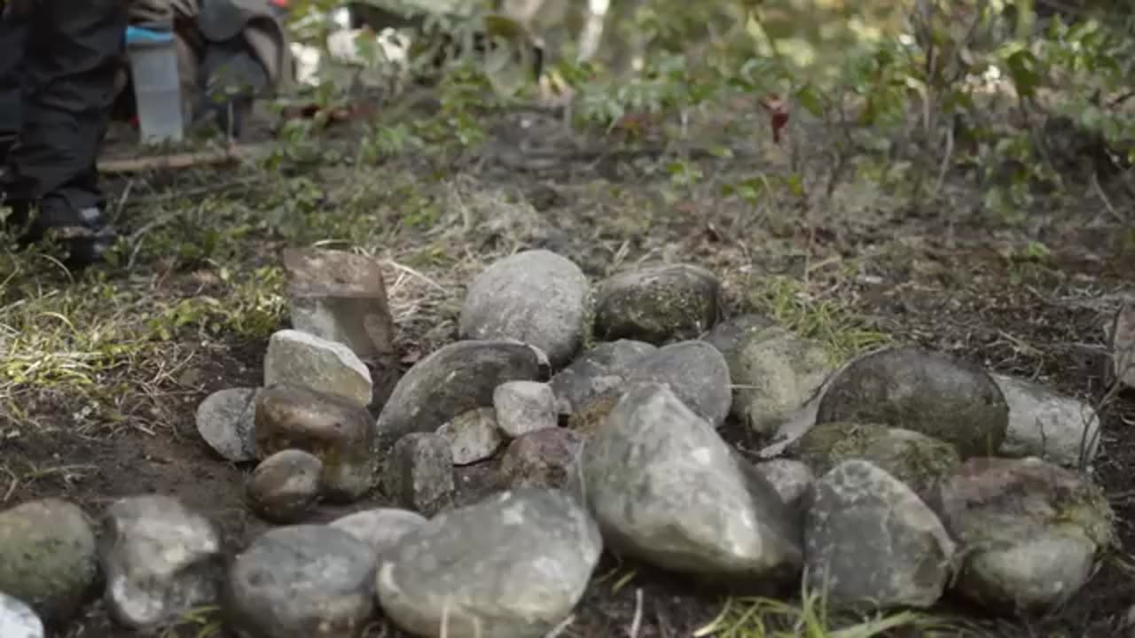 Father & Son Bushcraft Cooking - Flame Grilled Pork Chops in the Wilderness