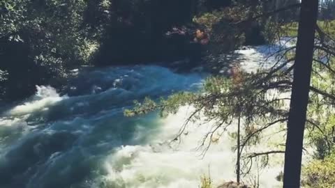 Relaxing Music | Sleeping, Meditation, Stress Relief | [5957] ⭐️