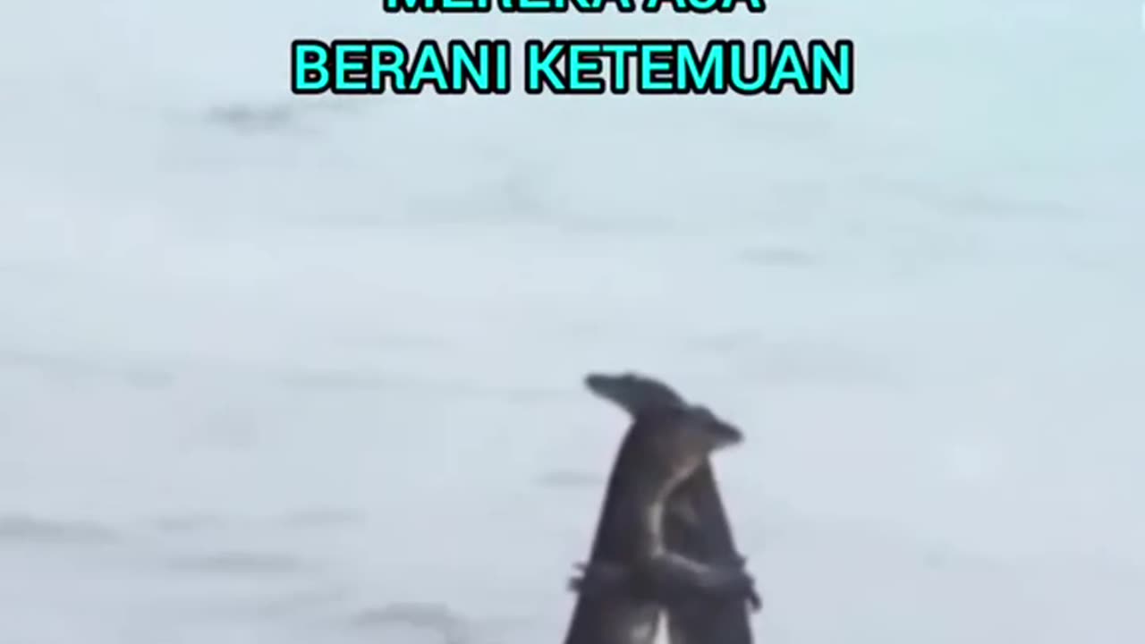 Nah Kan mereka aja ketemuan 😂