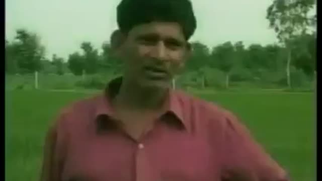 Pepsi And Coke Used As Pesticide