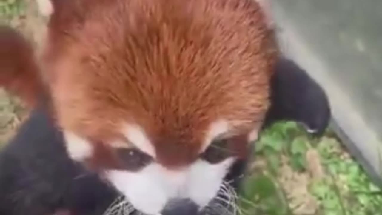 want to eat