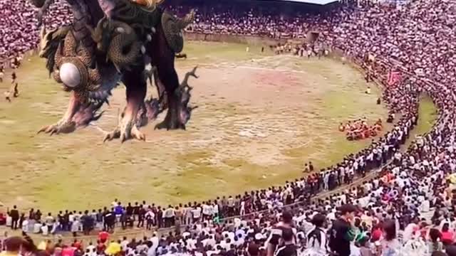 funny #funny video#Must watch new funny comedy videos 2022 best amazing funny comedy