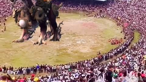funny #funny video#Must watch new funny comedy videos 2022 best amazing funny comedy