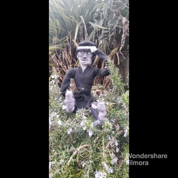 Mr FlannelFoot loves hedgehogs at Porthleven Harbour Hedgies