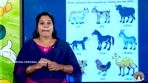 CLASS LKG GK DOMESTIC ANIMALS PART 1