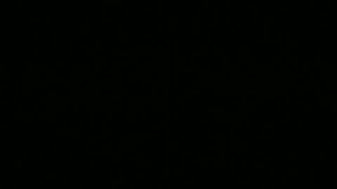 Power Bottom Crew playing the Bottle Horn