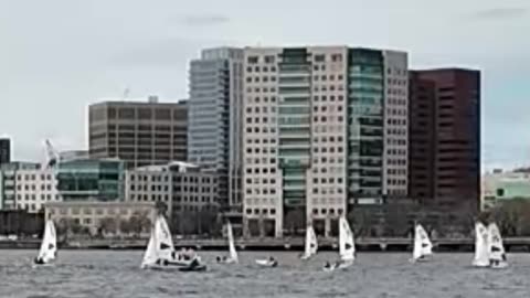 Sailing Training on the Charles River | ScottD317