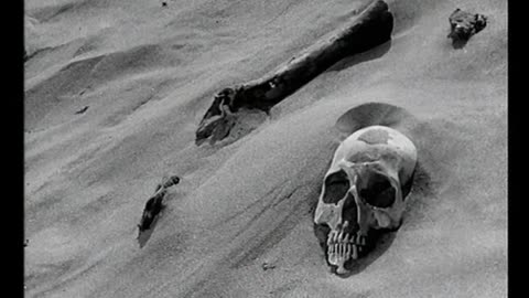 Robinson Crusoe Part 2