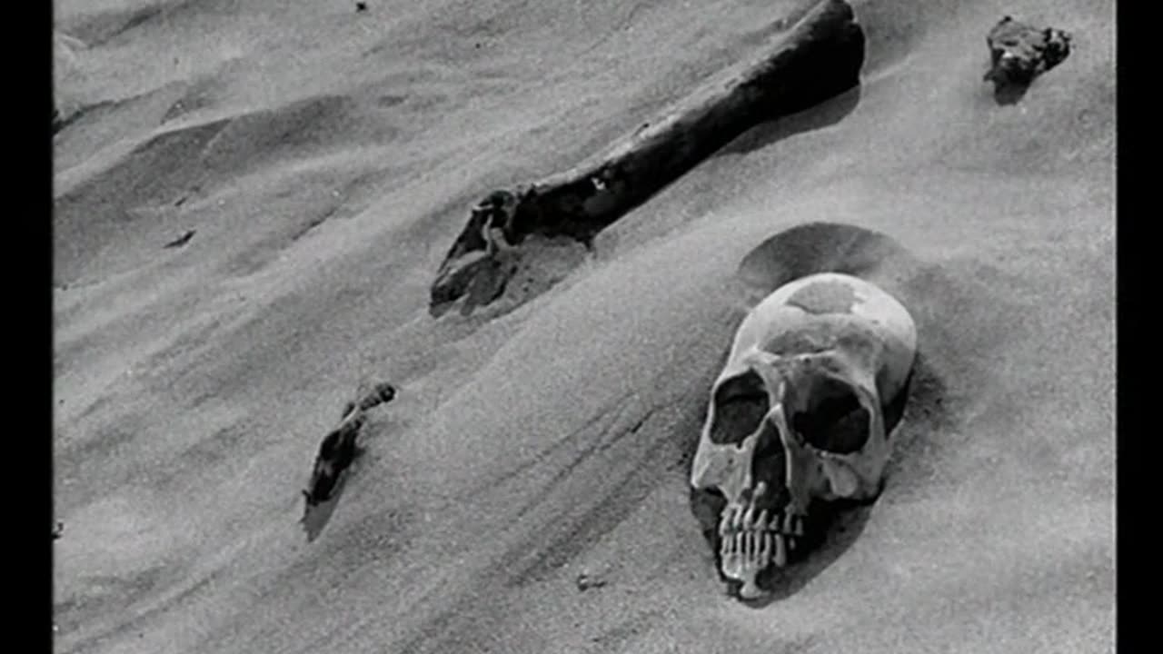 Robinson Crusoe Part 2