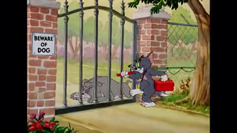 Tom and jerry