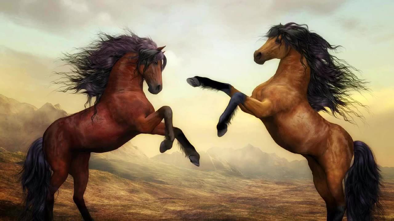 Horse power