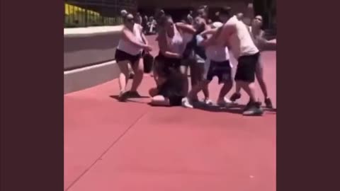 Another fight breaks out at Walt Disney World in Florida