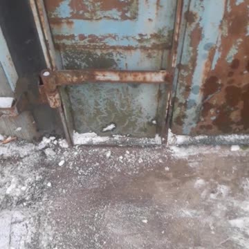 The cat is watching me