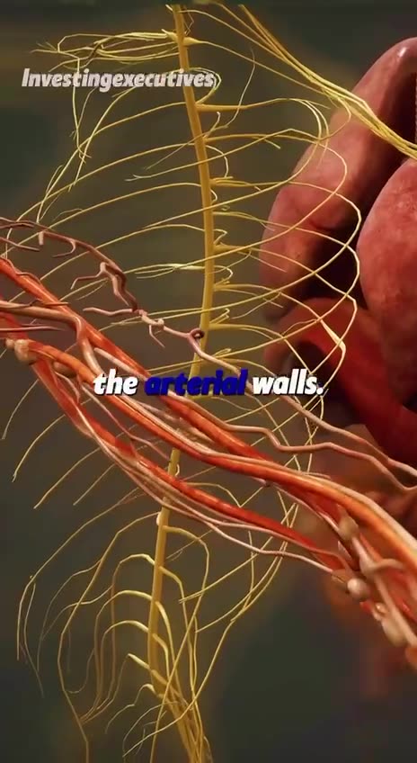 A minute that can save your life - Zero Hype - this is IMPORTANT 🫀