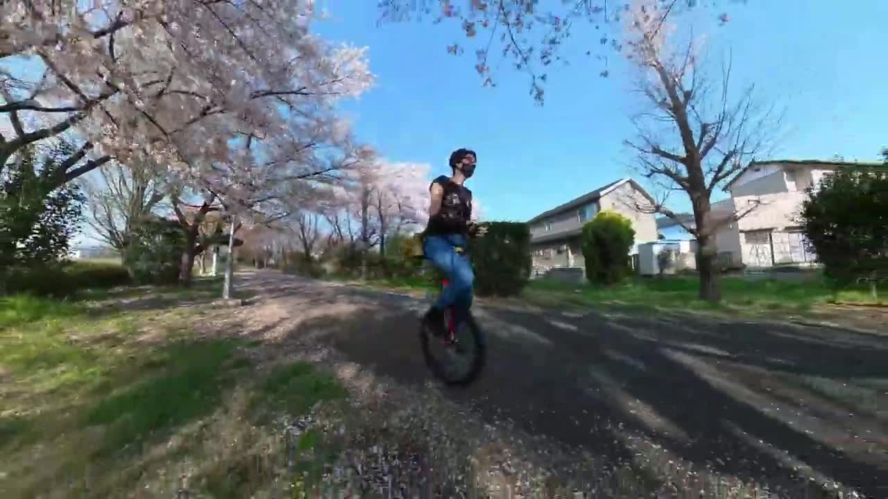 Run on the cherry blossom road. 🌸✨