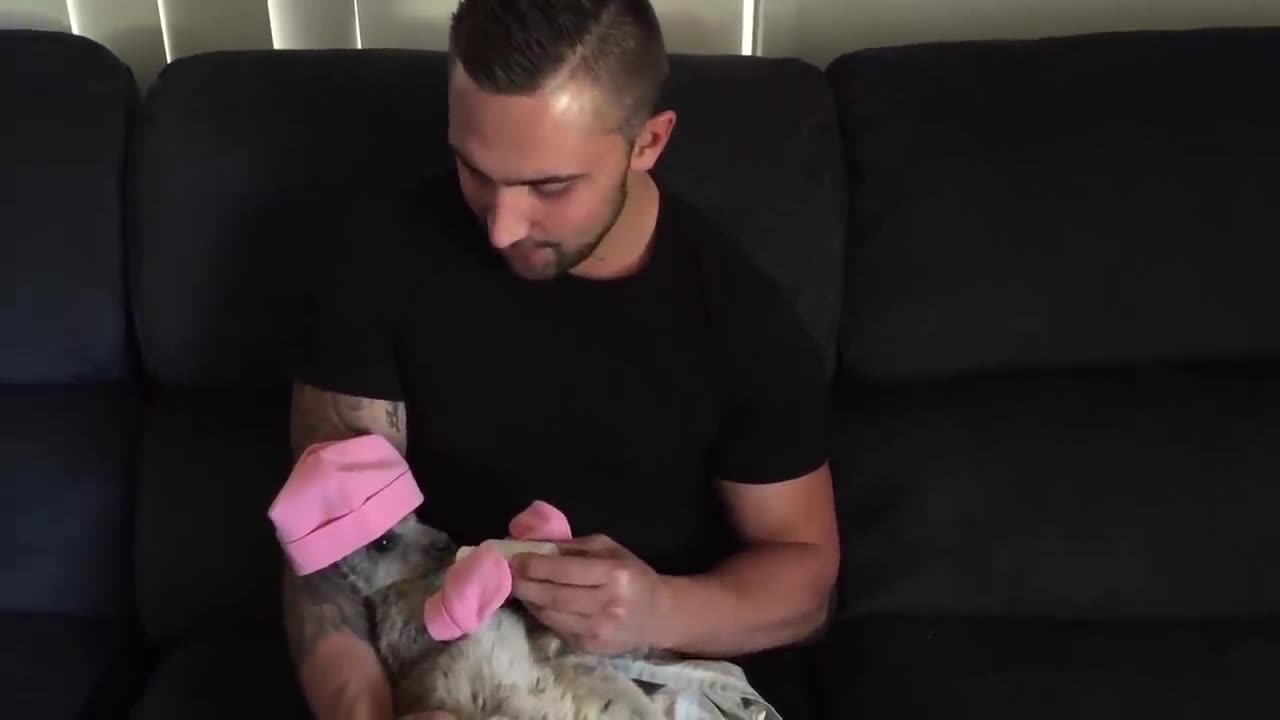 When your pet kangaroo is your best friend!! <3