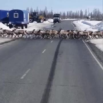 When the boss asks you why you late for work