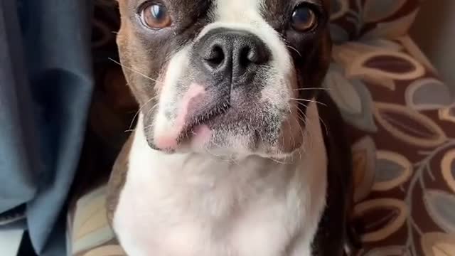 Press that follow button