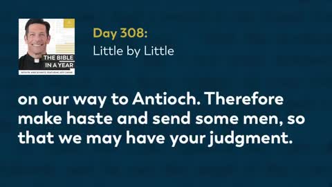 DAY 308: LITTLE BY LITTLE — THE BIBLE IN A YEAR (WITH FR. MIKE SCHMITZ)