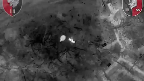 ‼️ Drones of the 65th brigade destroy Russians at night