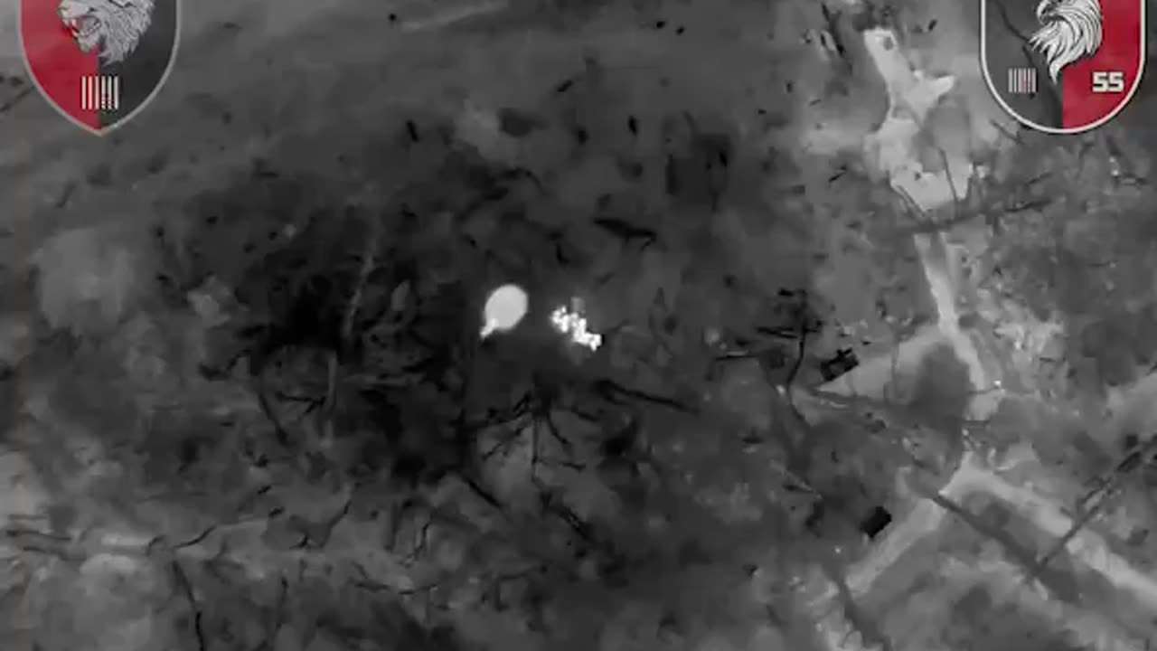 ‼️ Drones of the 65th brigade destroy Russians at night