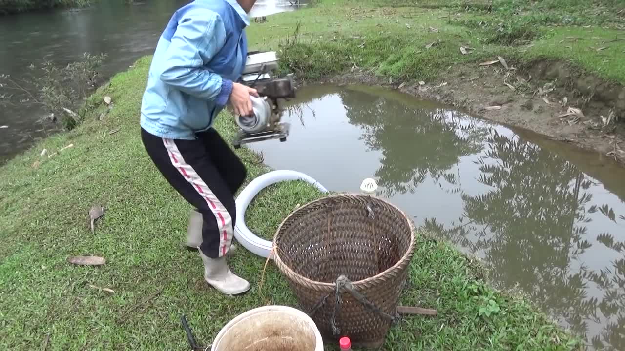 Hunting wild fish | Catch a lot of fish in the wild lake by using the big pump to suck the water-8