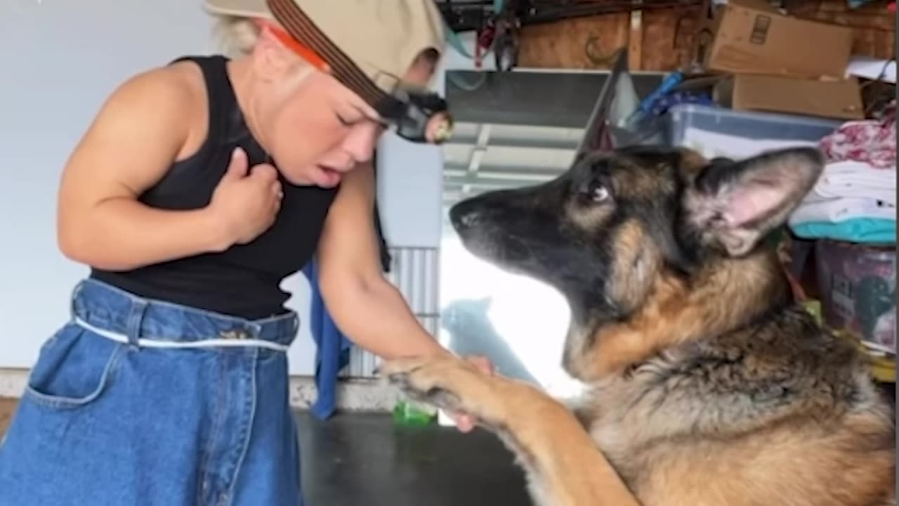 When you are smaller than your dog...