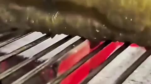 How much do I will be there by a new one for the kids to