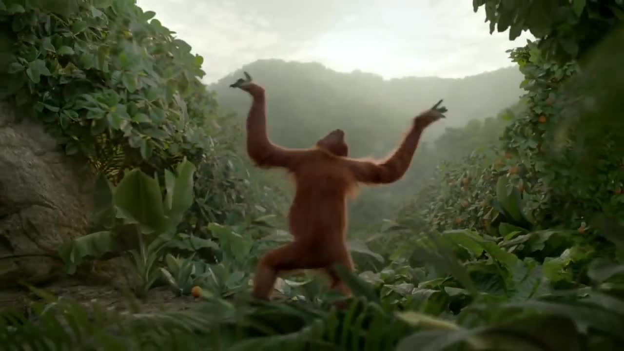 Funny Orangutan Has Best Dance Moves We've Ever Seen!