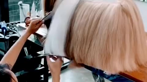 how to carefully cut dog hair