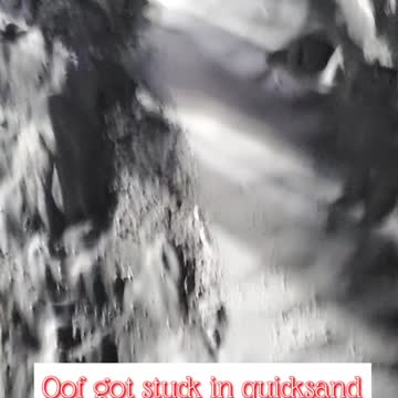 Truck stuck in quick sand