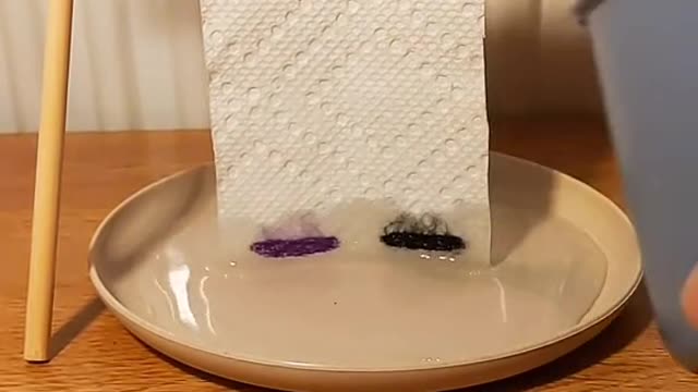 Watch chromatography in action. Pen ink vs water