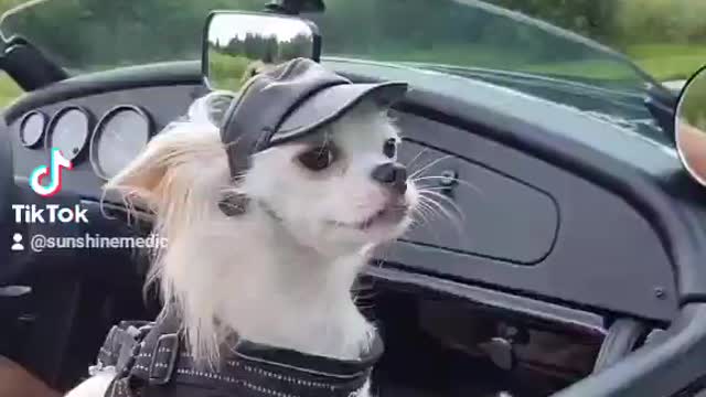 Riding the Wind!